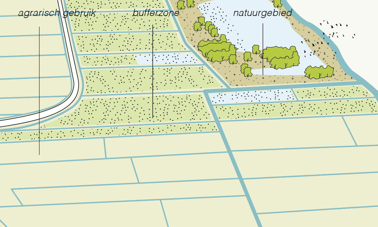 Illustratie van landschap met weiland en natuurgebied en daartussen een bufferzone